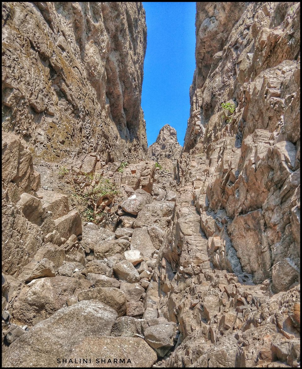 Photo of Top 5 endurance treks in Maharashtra by Shalini Sharma