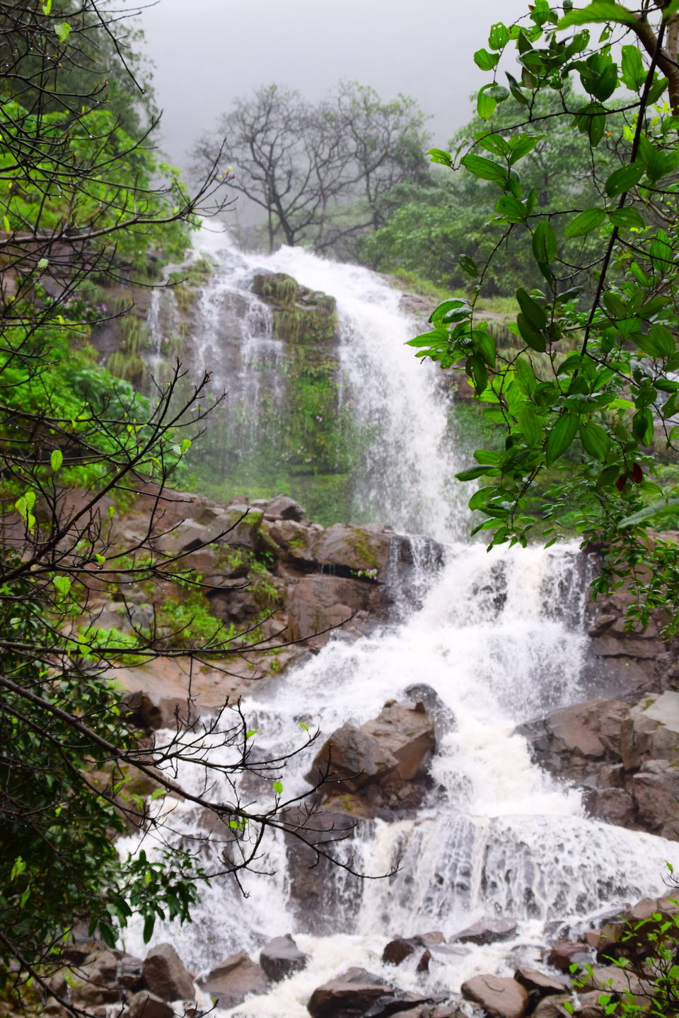 Photo of Pune to Mahabaleshwar via Raigad by Shishir Agrawal