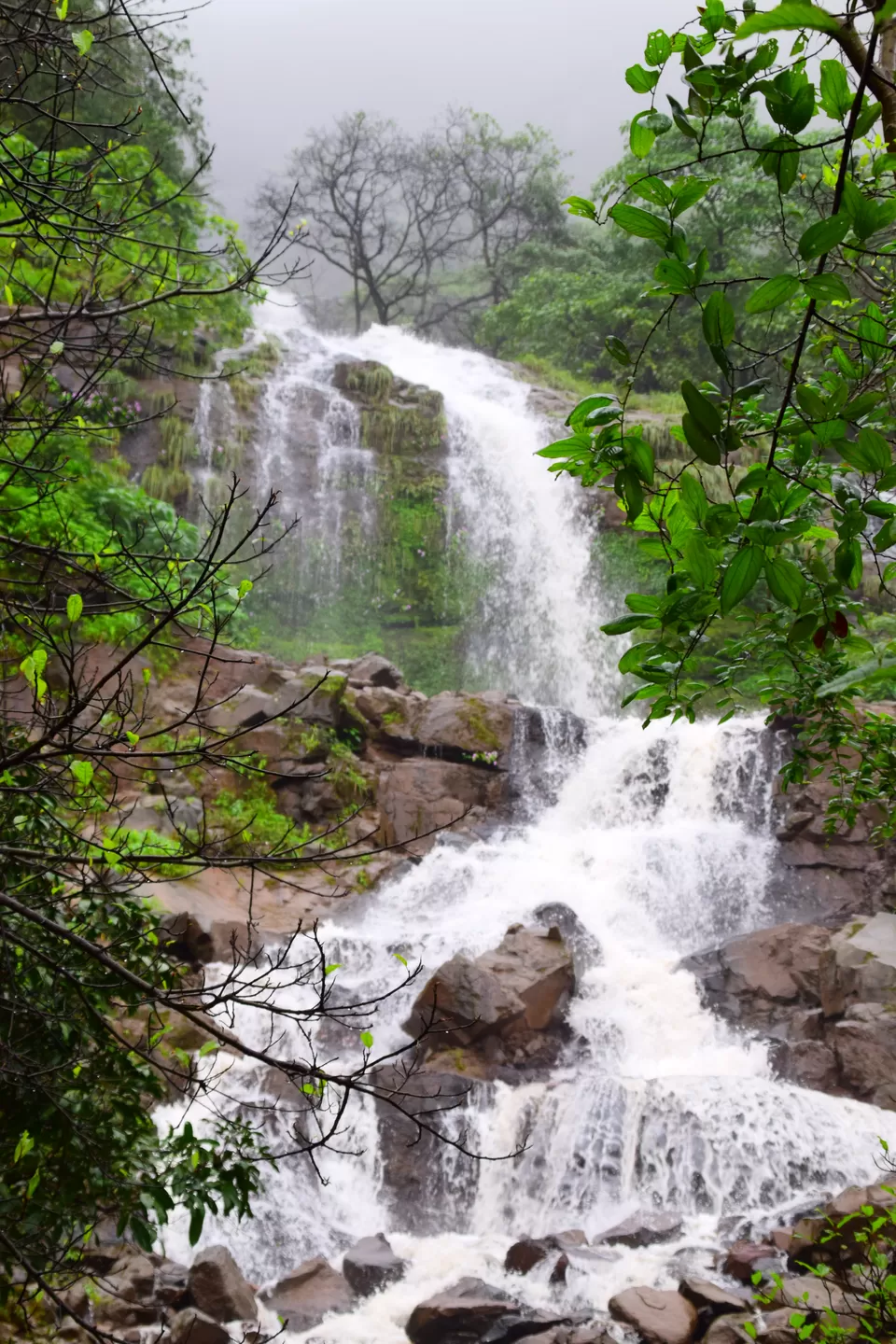 Photo of Pune to Mahabaleshwar via Raigad by Shishir Agrawal