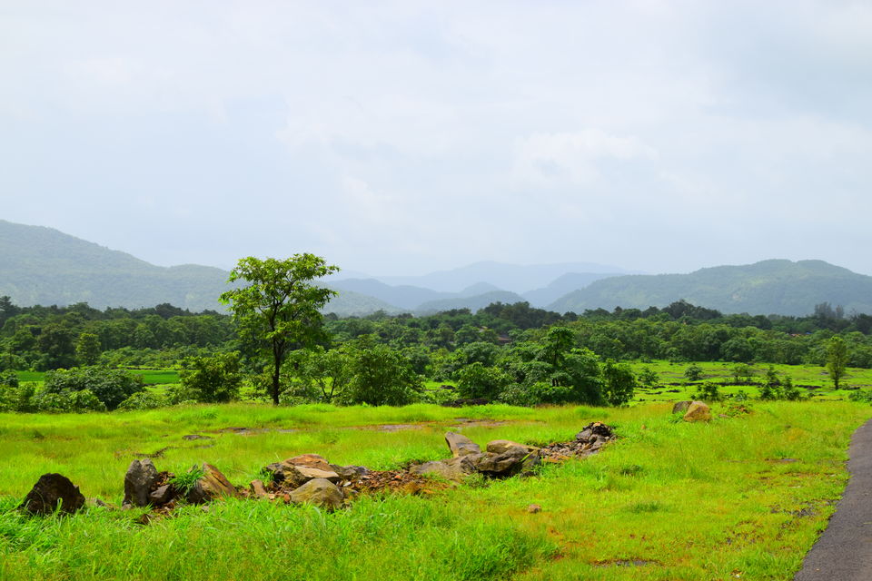 Photo of Pune to Mahabaleshwar via Raigad by Shishir Agrawal