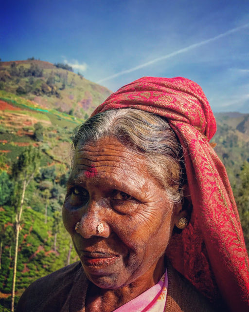 Photo of The New Mountains : Nilgiris ( Coonoor Hill Station) by akanksha siwach