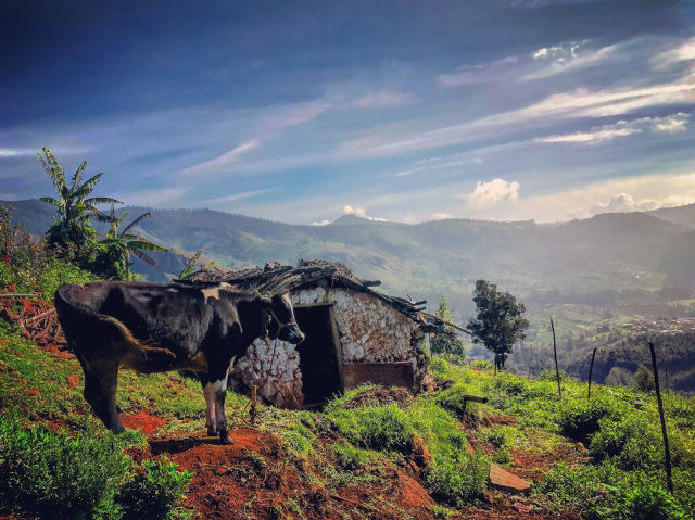 Photo of The New Mountains : Nilgiris ( Coonoor Hill Station) by akanksha siwach