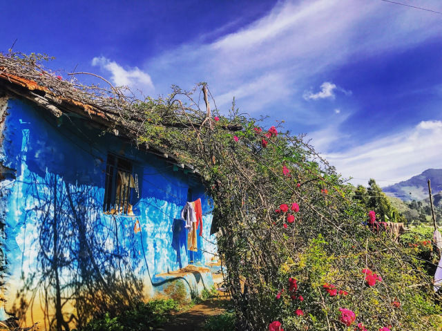 Photo of The New Mountains : Nilgiris ( Coonoor Hill Station) by akanksha siwach
