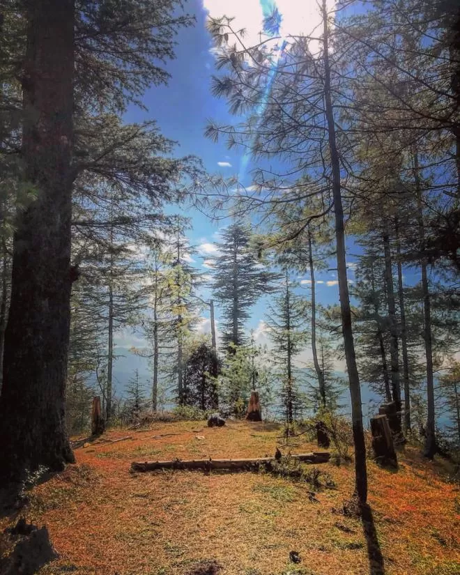 Photo of A Little Ahead Of Shimla Lies This Offbeat Paradise by Akanksha Siwach. Tales of The Hidden Trails