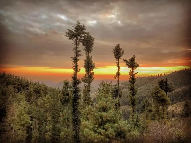 Photo of A Little Ahead Of Shimla Lies This Offbeat Paradise by Akanksha Siwach. Tales of The Hidden Trails
