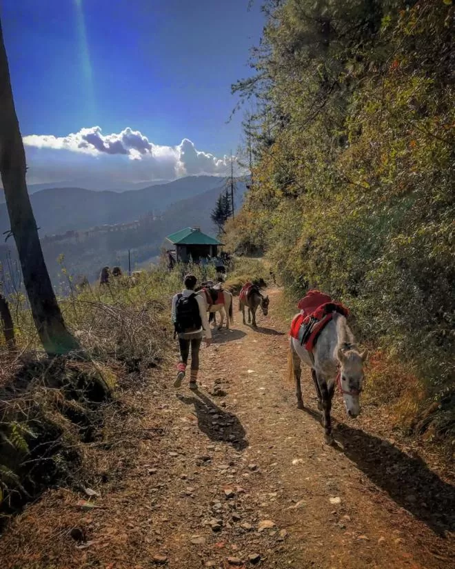 Photo of A Little Ahead Of Shimla Lies This Offbeat Paradise by Akanksha Siwach. Tales of The Hidden Trails