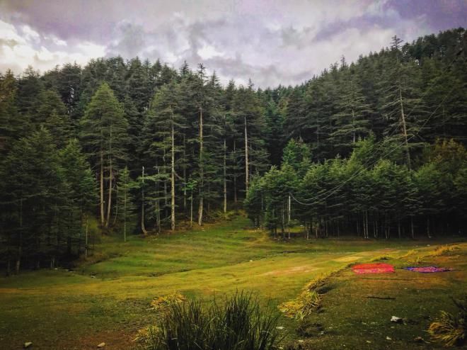 Photo of Fagu, Himachal Pradesh, India by Akanksha Siwach. Tales of The Hidden Trails