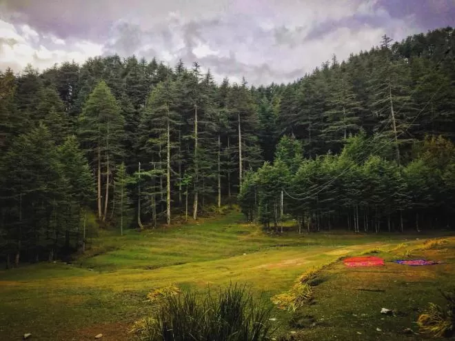 Photo of Fagu, Himachal Pradesh, India by Akanksha Siwach. Tales of The Hidden Trails
