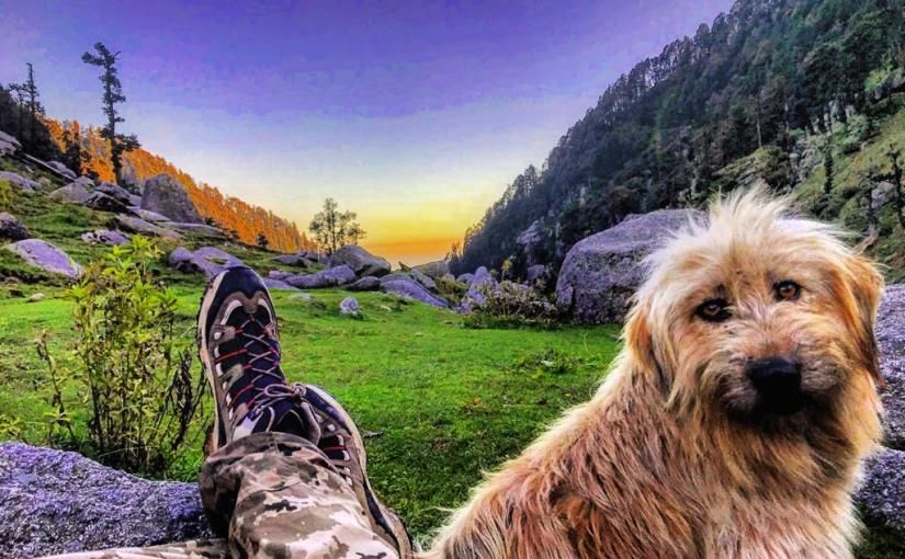 Photo of The Time When I Was Happily Stranded in This Heaven in Kangra Valley Called Kareri by Akanksha Siwach. Tales of The Hidden Trails