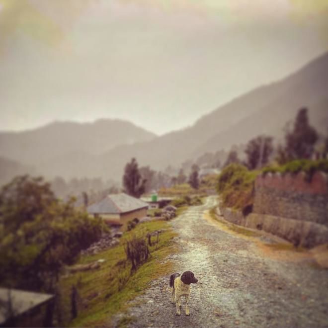 Photo of WHEN I GOT HAPPILY STRANDED AT THIS HAVEN CALLED….Kareri! by akanksha siwach