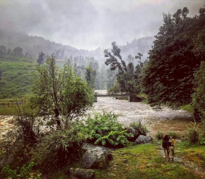 Photo of WHEN I GOT HAPPILY STRANDED AT THIS HAVEN CALLED….Kareri! by akanksha siwach
