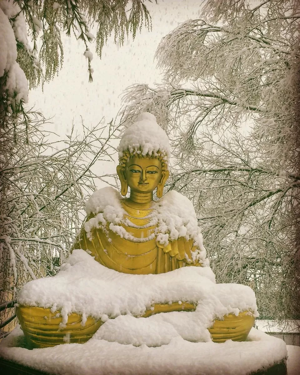 Photo of Bhutan by Akanksha Siwach. Tales of The Hidden Trails