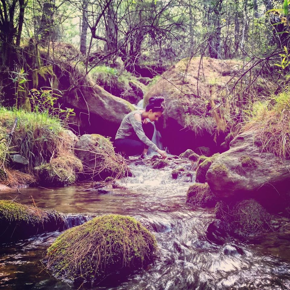 Photo of A Travel Guide To Haa Valley: My Very Own Neverland! by Akanksha Siwach. Tales of The Hidden Trails