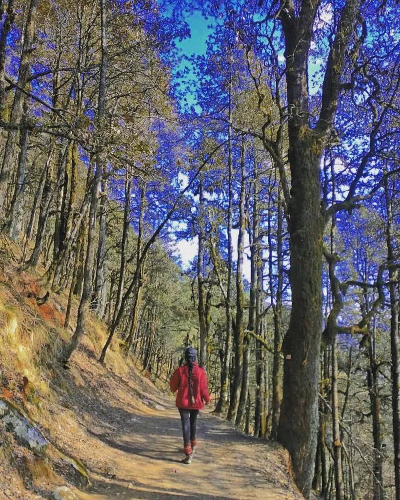Photo of Oh My Jibhi! by Akanksha Siwach. Tales of The Hidden Trails