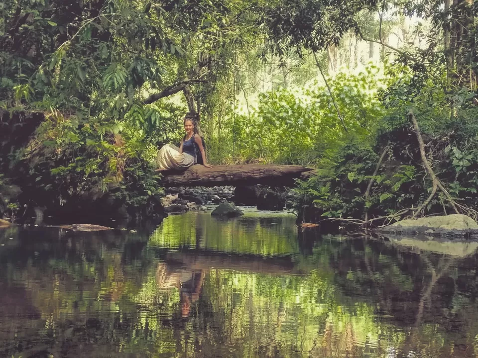 Photo of Vibhooti Falls, Mattighatta Road, Achave, Karnataka, India by Akanksha Siwach. Tales of The Hidden Trails