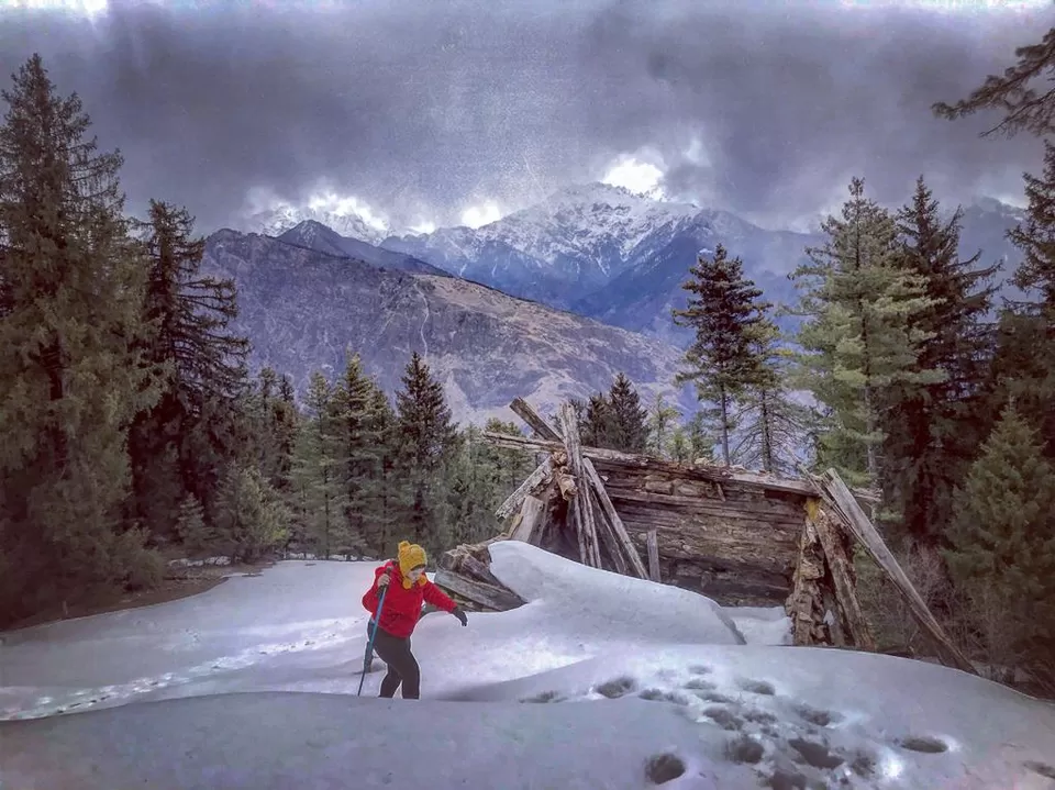Photo of Sainj, Himachal Pradesh, India by Akanksha Siwach. Tales of The Hidden Trails