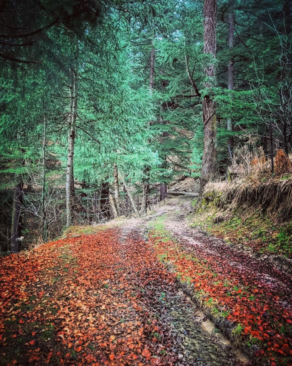 Photo of Shangarh, Himachal Pradesh, India by Akanksha Siwach. Tales of The Hidden Trails