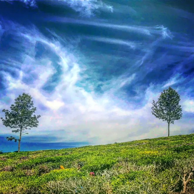 Photo of Coonoor, Tamil Nadu, India by Akanksha Siwach. Tales of The Hidden Trails