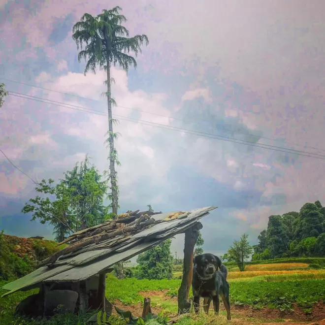 Photo of Jhatingri, Gawalan, Himachal Pradesh, India by Akanksha Siwach. Tales of The Hidden Trails