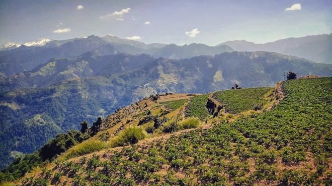Photo of Barot, Himachal Pradesh, India by Akanksha Siwach. Tales of The Hidden Trails