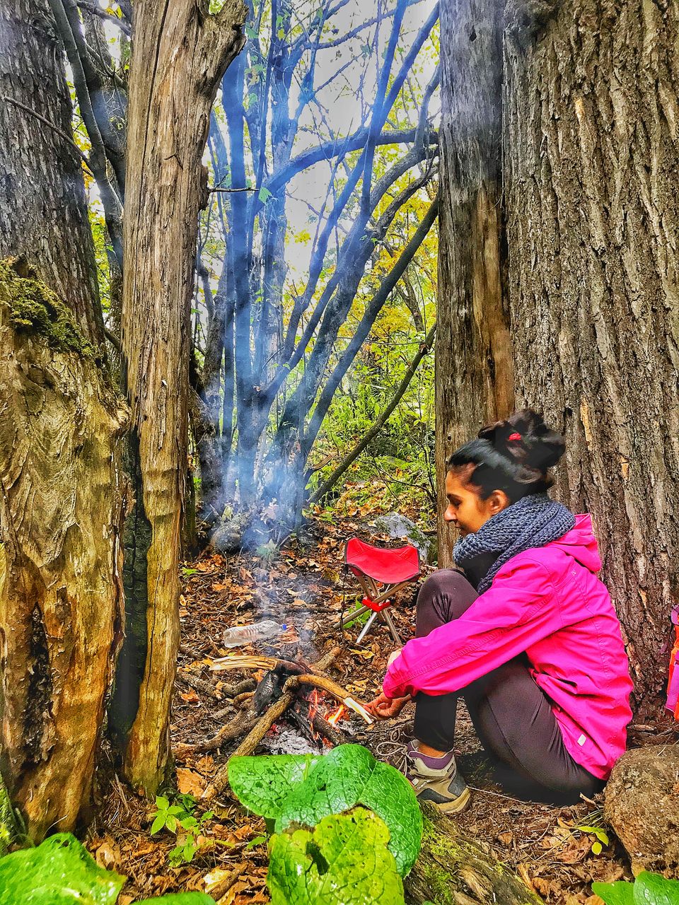 Photo of Great Himalayan National Park, Forest Office Road, Shamshi, Himachal Pradesh, India by Akanksha Siwach. Tales of The Hidden Trails
