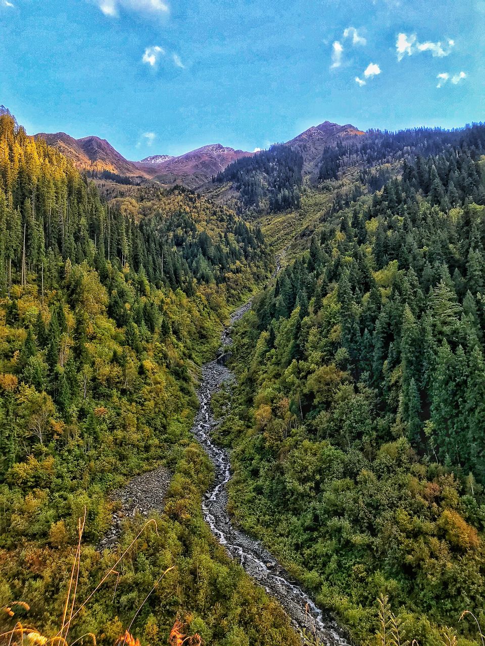 Photo of Great Himalayan National Park, Forest Office Road, Shamshi, Himachal Pradesh, India by Akanksha Siwach. Tales of The Hidden Trails