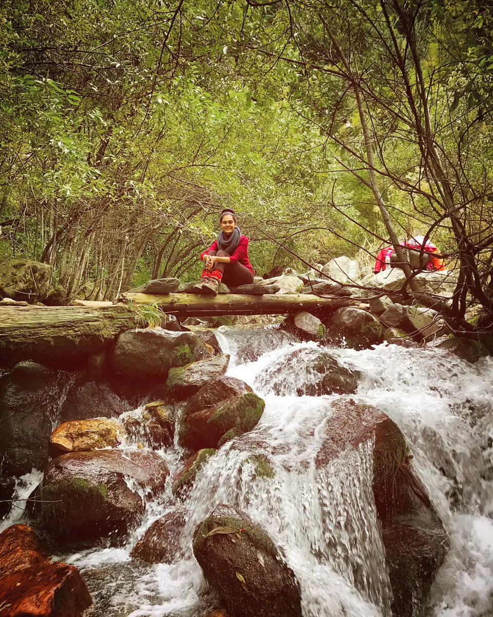 Photo of Great Himalayan National Park, Forest Office Road, Shamshi, Himachal Pradesh, India by Akanksha Siwach. Tales of The Hidden Trails