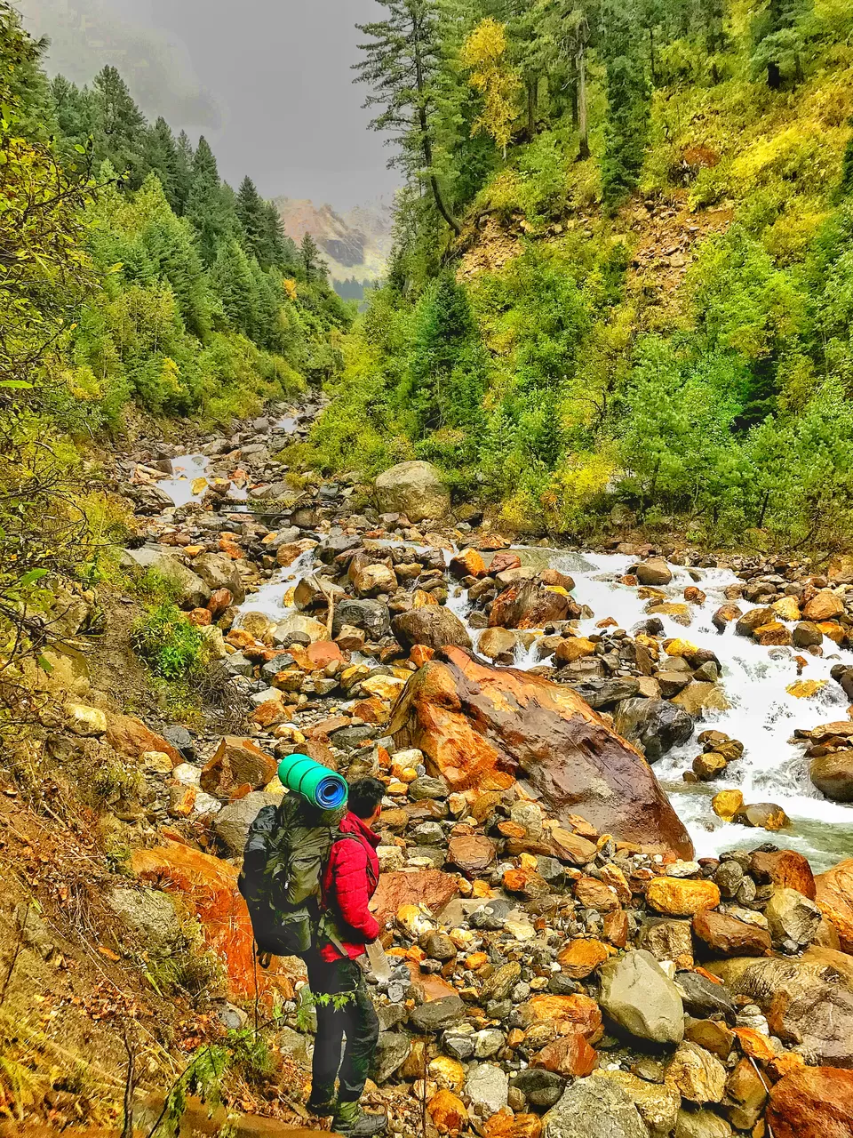 Photo of Great Himalayan National Park, Forest Office Road, Shamshi, Himachal Pradesh, India by Akanksha Siwach. Tales of The Hidden Trails