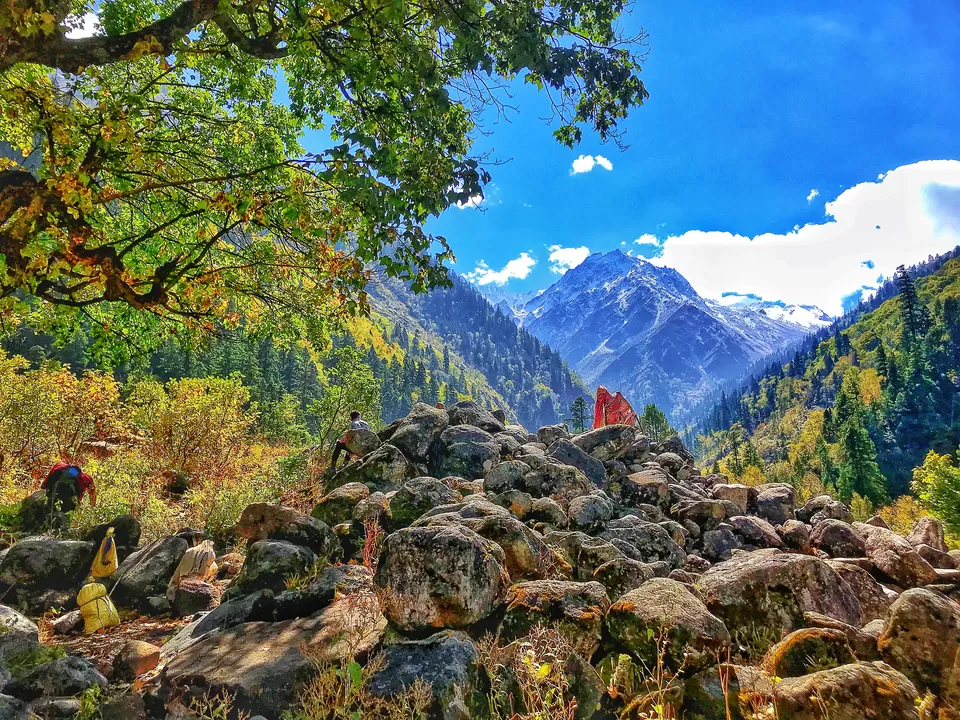 Photo of Great Himalayan National Park, Forest Office Road, Shamshi, Himachal Pradesh, India by Akanksha Siwach. Tales of The Hidden Trails