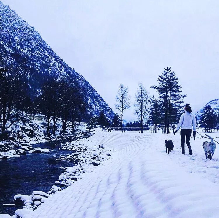 Photo of Bhutan by Akanksha Siwach. Tales of The Hidden Trails