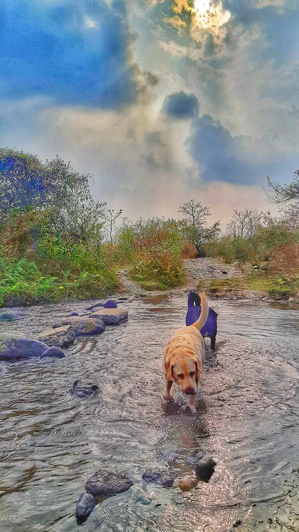 Photo of Assam, India by Akanksha Siwach. Tales of The Hidden Trails