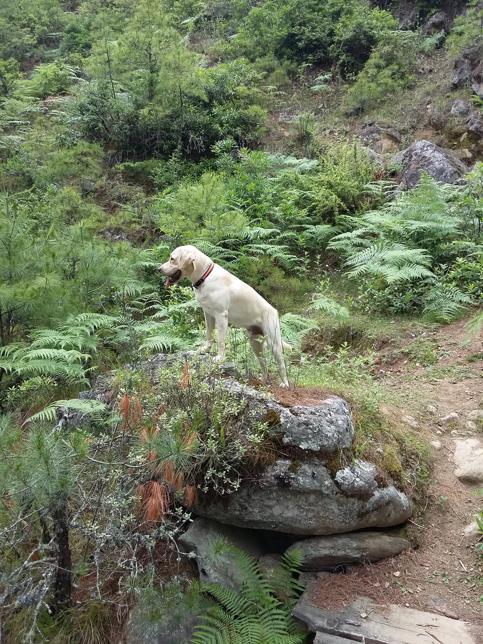 Photo of Bhutan by Akanksha Siwach. Tales of The Hidden Trails