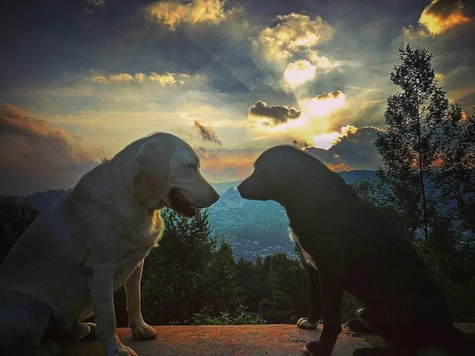 Photo of Coonoor, Tamil Nadu, India by Akanksha Siwach. Tales of The Hidden Trails