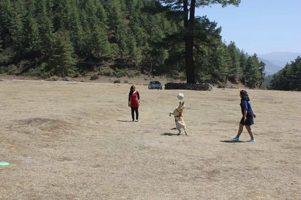 Photo of Damthang, Sikkim, India by Akanksha Siwach. Tales of The Hidden Trails