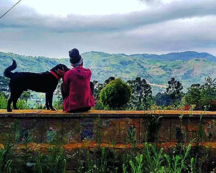 Photo of Nilgiris, Tamil Nadu, India by Akanksha Siwach. Tales of The Hidden Trails