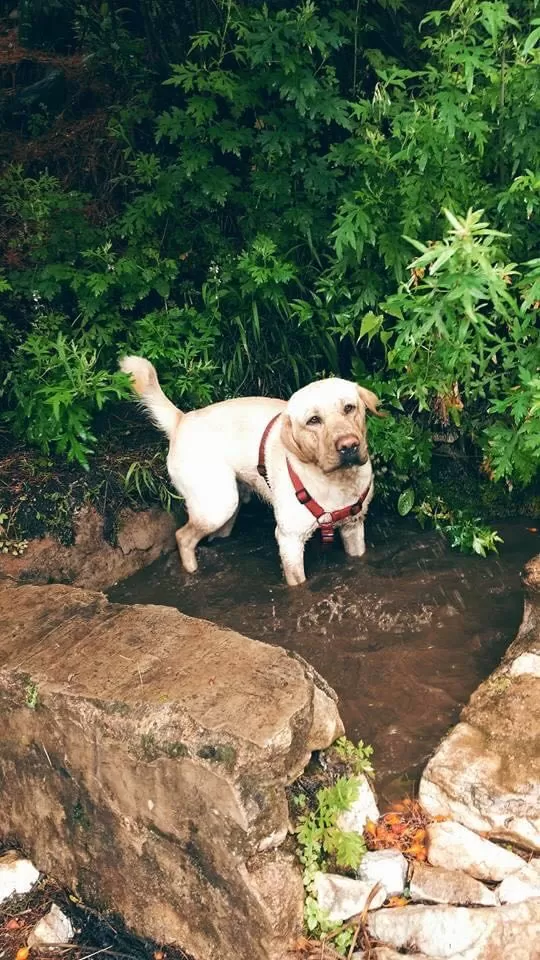 Photo of Haa, Bhutan by Akanksha Siwach. Tales of The Hidden Trails