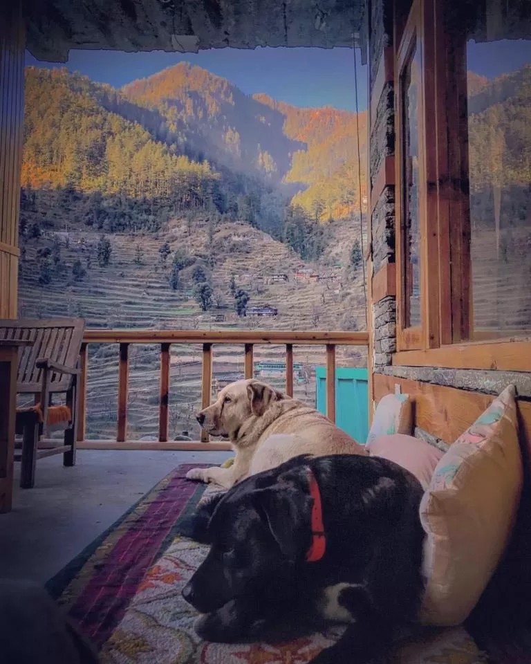 Photo of Jibhi, Himachal Pradesh, India by Akanksha Siwach. Tales of The Hidden Trails