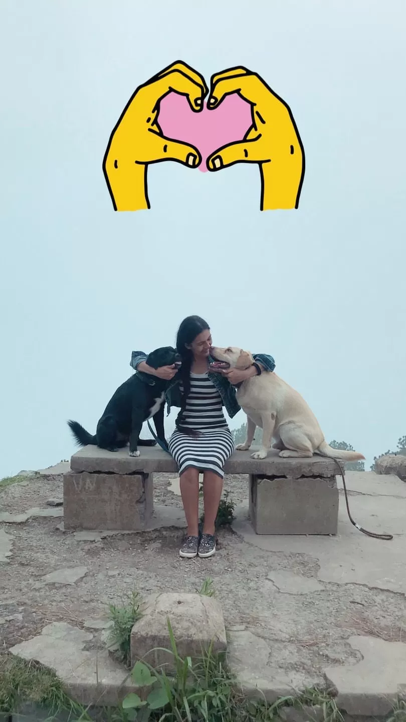 Photo of Chandigarh, India by Akanksha Siwach. Tales of The Hidden Trails