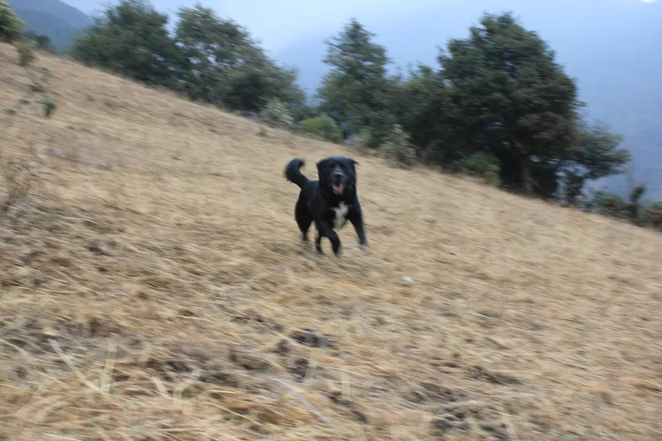 Photo of Tawang by Akanksha Siwach. Tales of The Hidden Trails