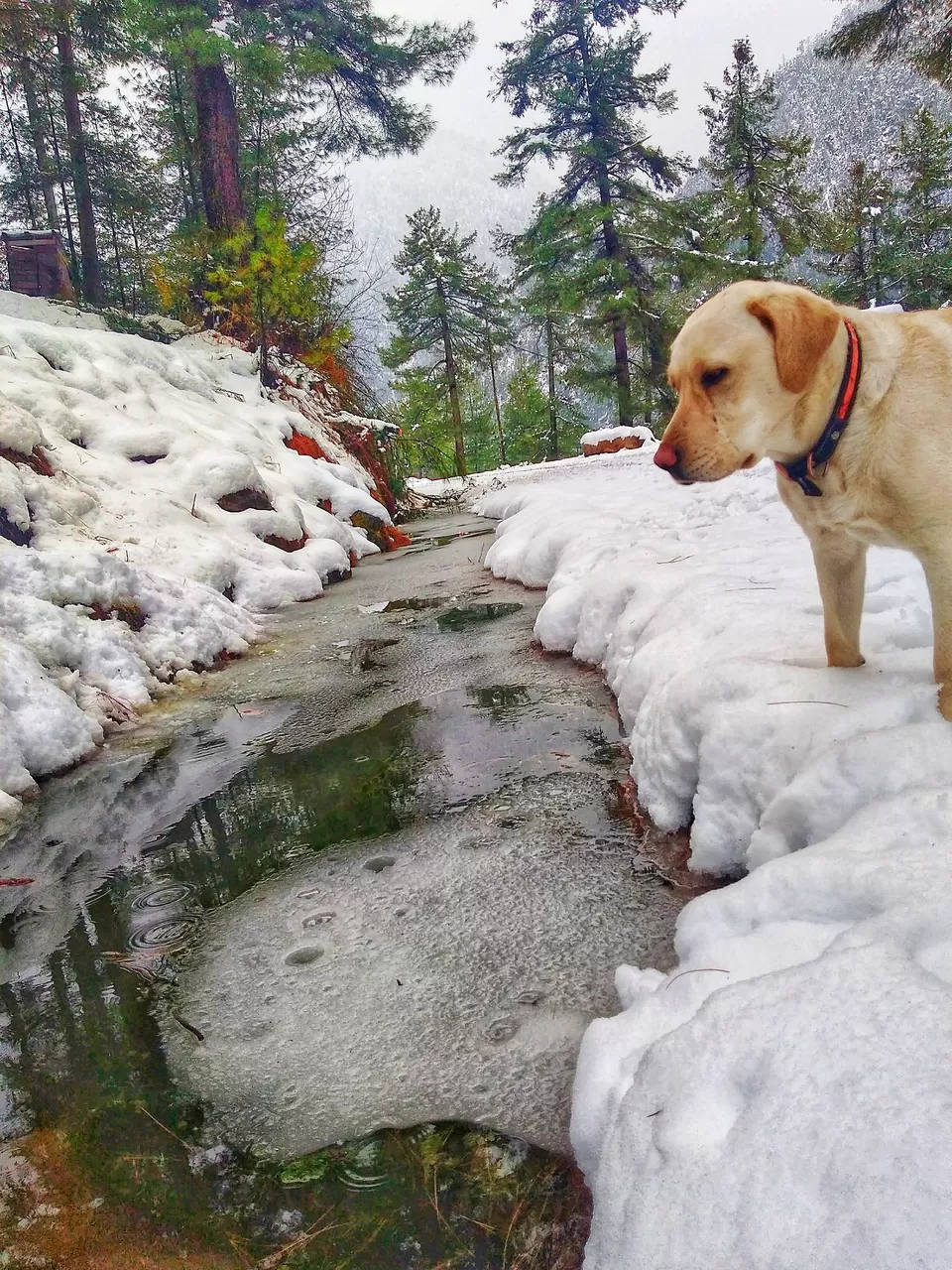 Photo of Arunachal Pradesh, India by Akanksha Siwach. Tales of The Hidden Trails