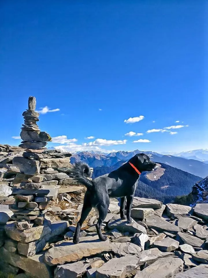 Photo of Jalori Pass, Jalori, Sajwar, Himachal Pradesh by Akanksha Siwach. Tales of The Hidden Trails