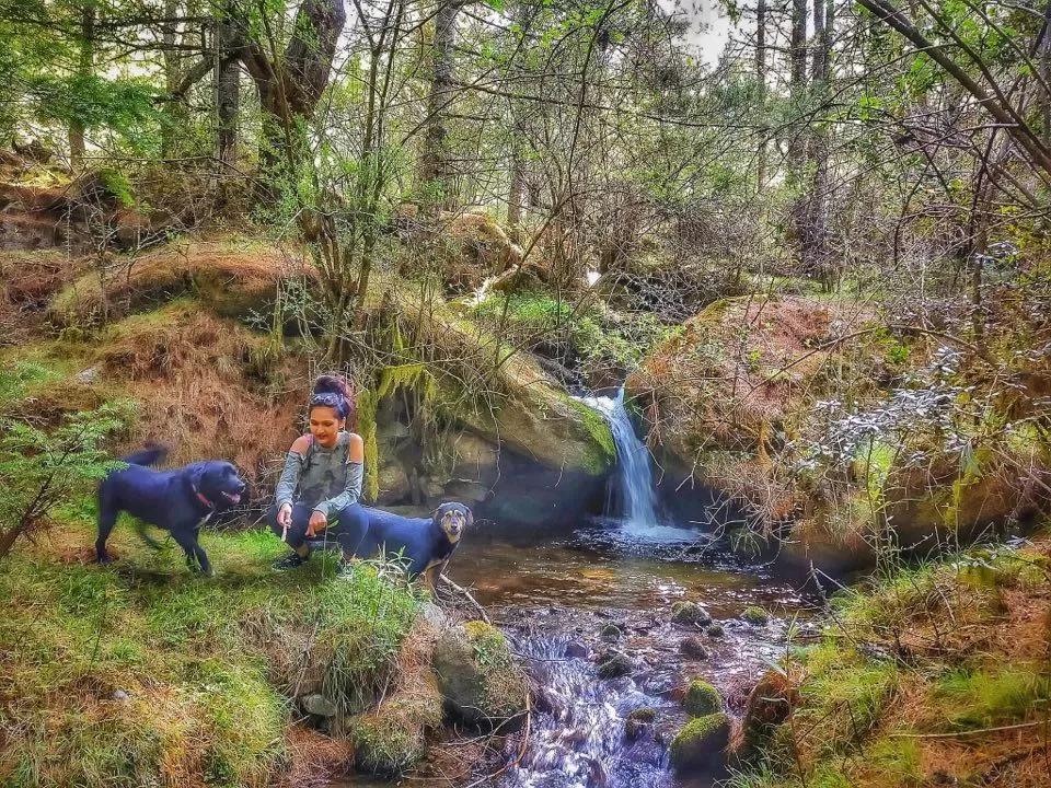 Photo of Himachal Pradesh, India by Akanksha Siwach. Tales of The Hidden Trails