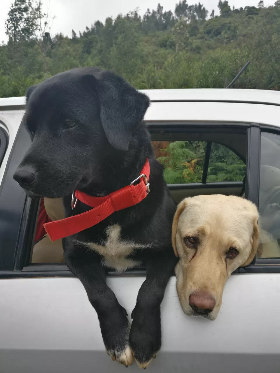 Photo of Ooty, Tamil Nadu, India by Akanksha Siwach. Tales of The Hidden Trails