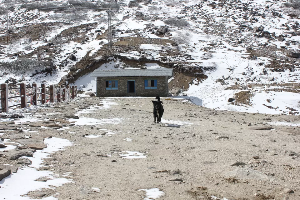 Photo of Sela Pass by Akanksha Siwach. Tales of The Hidden Trails