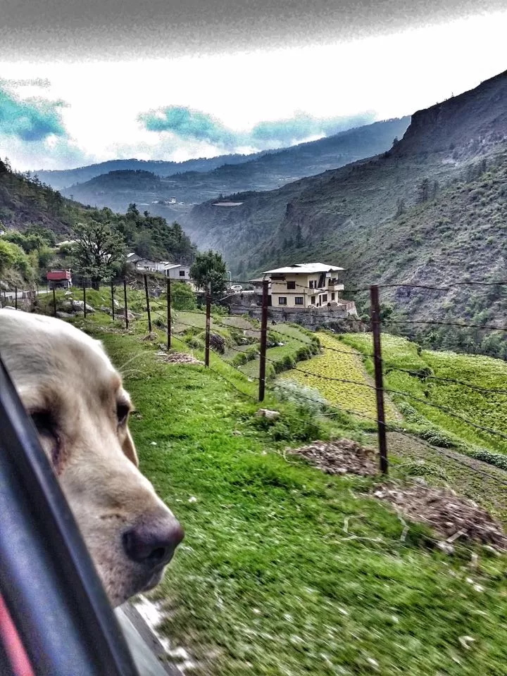 Photo of Thimphu, Bhutan by Akanksha Siwach. Tales of The Hidden Trails