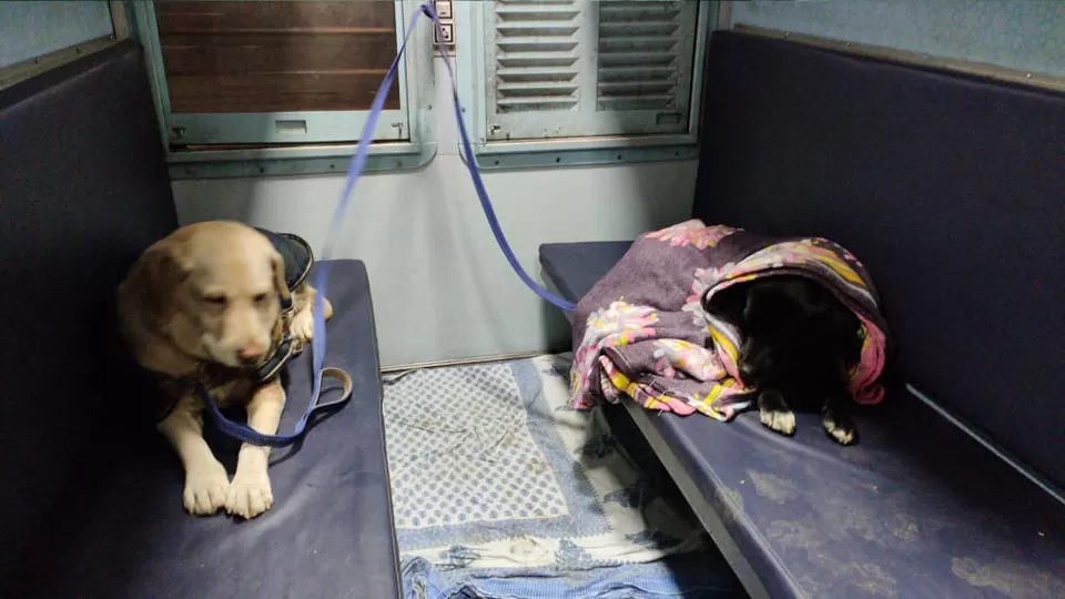 Photo of Ooty, Tamil Nadu, India by Akanksha Siwach. Tales of The Hidden Trails