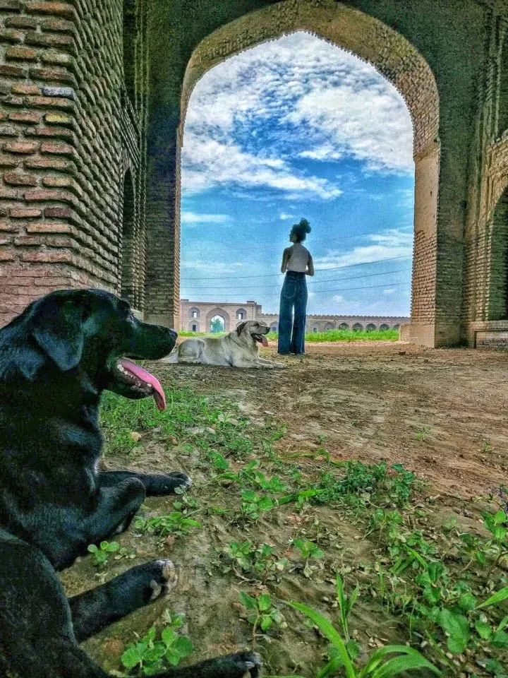 Photo of Doraha Fort, Saran Road, Ward No. 13, Doraha, Punjab, India by Akanksha Siwach. Tales of The Hidden Trails