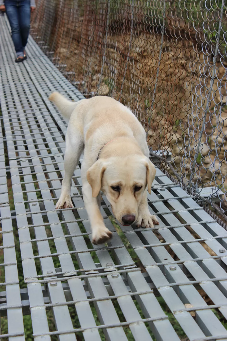 Photo of Ha, Bhutan, Bhutan by Akanksha Siwach. Tales of The Hidden Trails