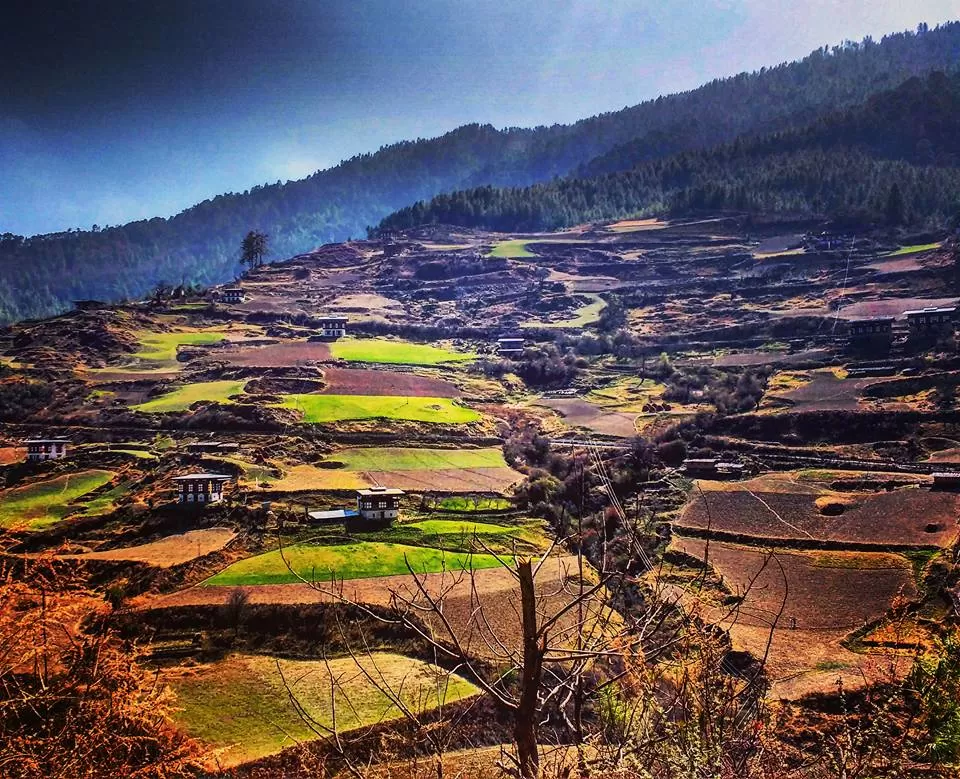Photo of Chele La, Bhutan by Akanksha Siwach. Tales of The Hidden Trails