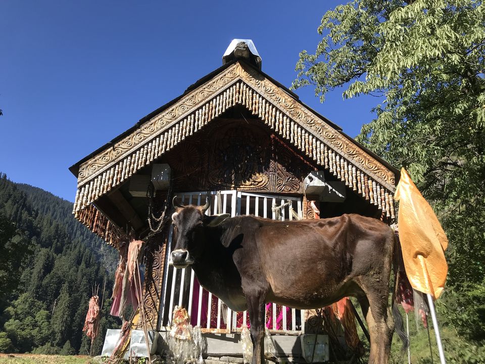 Photo of The Only Human Habitation In The Heart Of The Great Himalayan National Park: As Remote As It Can Get by Akanksha Siwach. Tales of The Hidden Trails